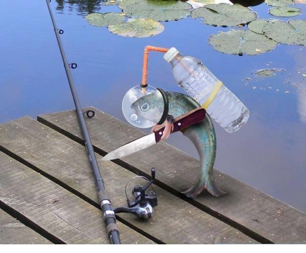 de toate - 999110621739727867812300350013n.jpg